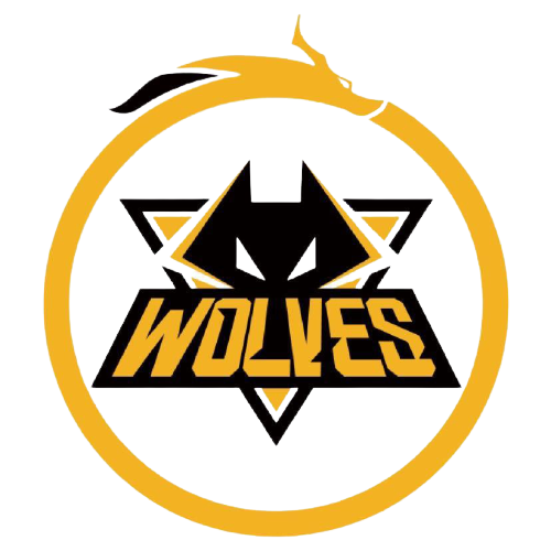 用他出色的 用他出色的